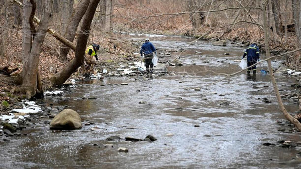 Las autoridades calculan que 3.500 peces de 12 especies diferentes murieron en las fuentes de agua cercanas.