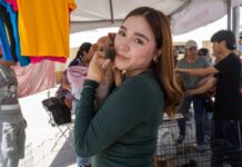 ¡Lleva a tu mascota! Abren registro para esterilizaciones gratis en Baja California Esterilización de mascotas