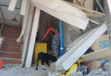 Aumenta a 46 la cifra de muertos por terremoto en Filipinas; más de 2 mil réplicas dificultan rescates
