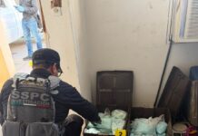 Golpe al narcotráfico en Mexicali: aseguran 120 kilos de fentanilo vinculados a “Los Rusos” Autoridades aseguran 120 kilogramos de pastillas de fentanilo durante operativo en Mexicali, Baja California.